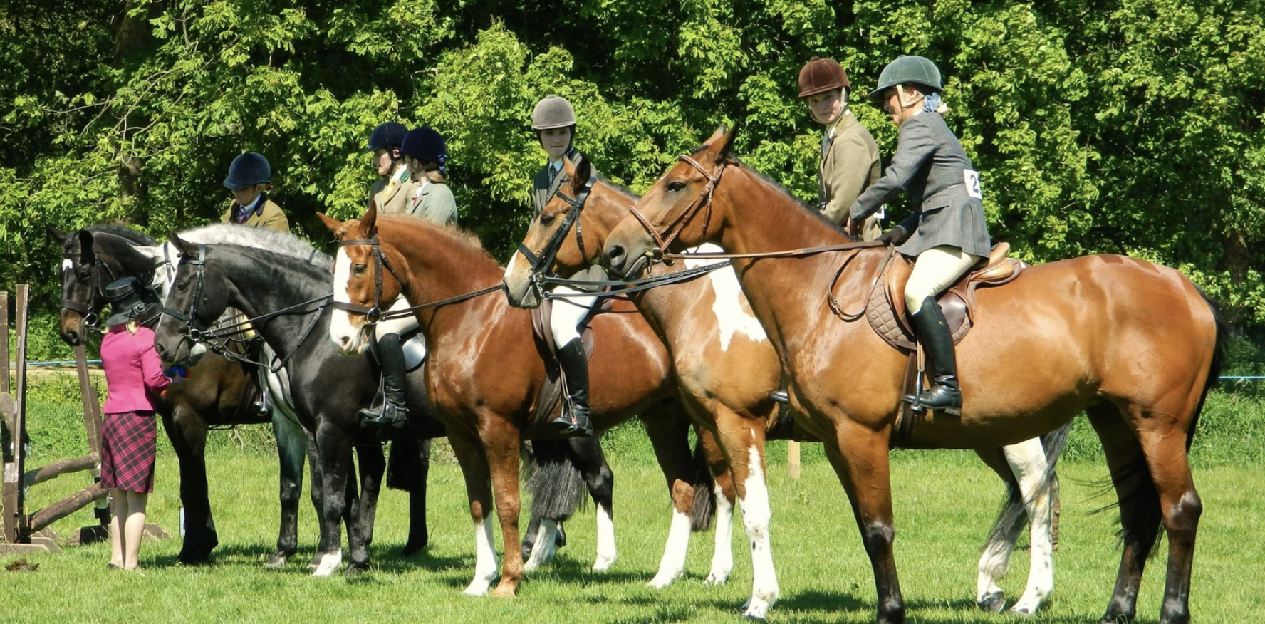 The Ultimate Guide to Planning a Successful Horse Show